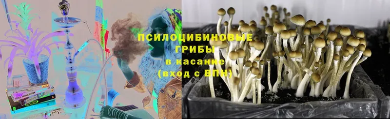 Галлюциногенные грибы GOLDEN TEACHER  Верхнеуральск 